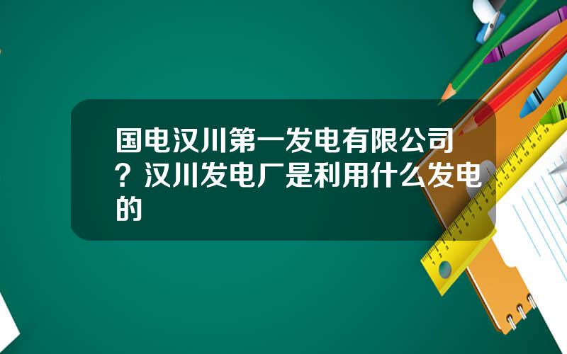 国电汉川第一发电有限公司？汉川发电厂是利用什么发电的