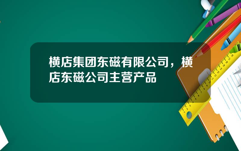 横店集团东磁有限公司，横店东磁公司主营产品