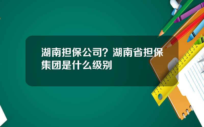 湖南担保公司？湖南省担保集团是什么级别