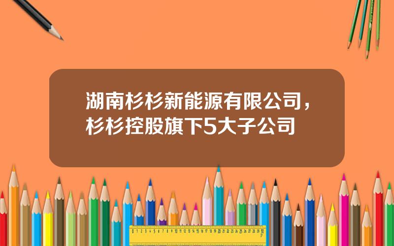 湖南杉杉新能源有限公司，杉杉控股旗下5大子公司